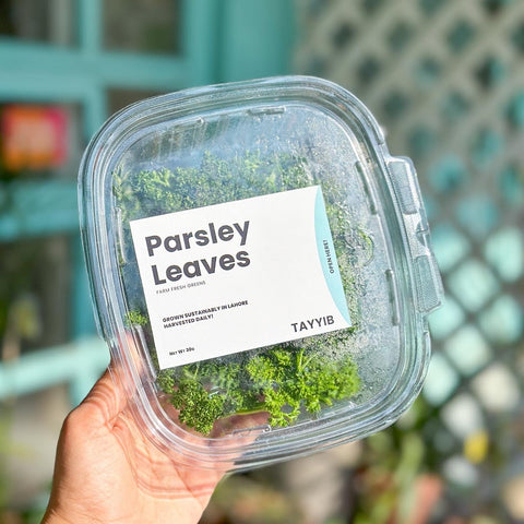 Parsley Leaves 30g - Tayyib Store - Tayyib Foods - Lahore