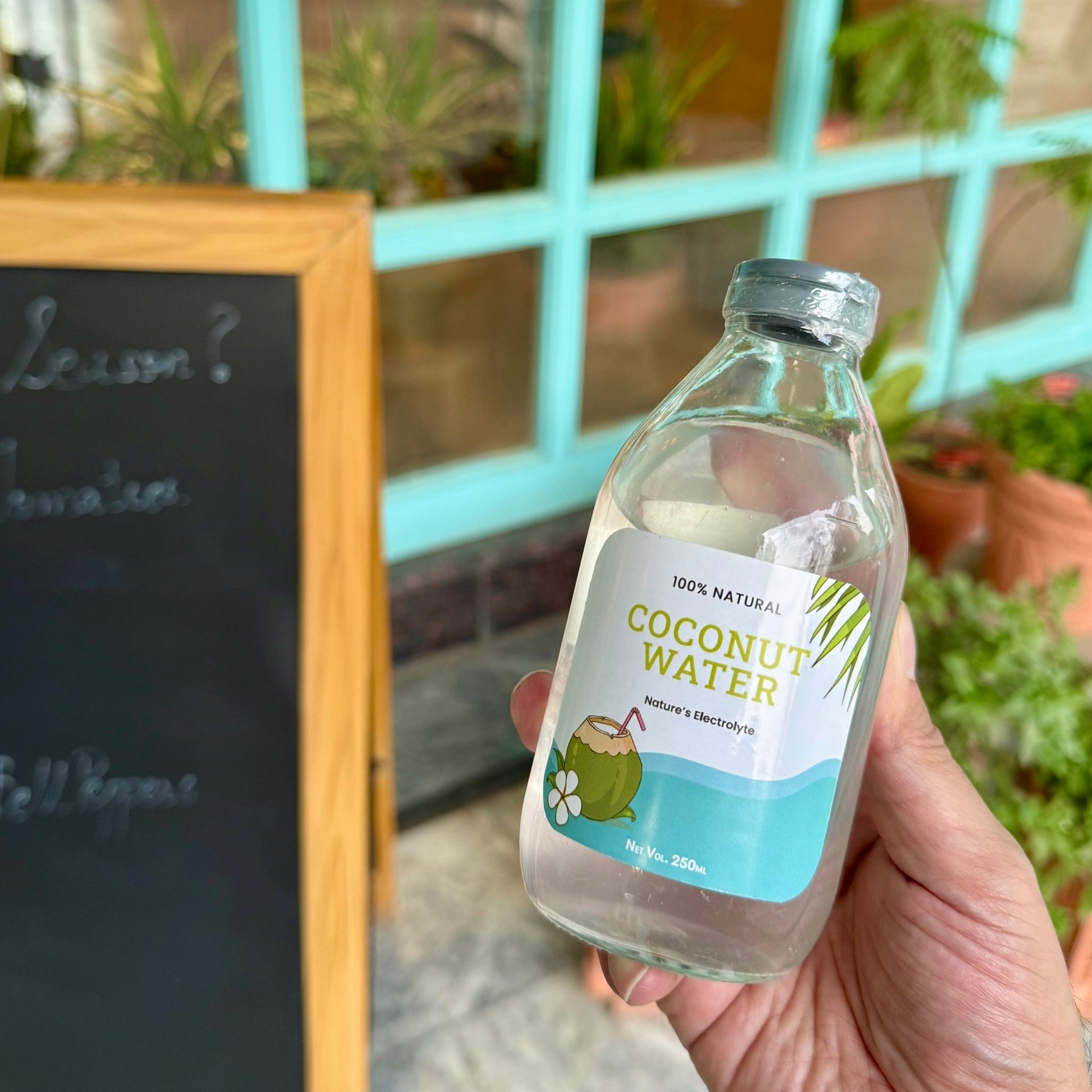 Fresh Coconut Water 250ml – Tayyib Store - Main Image