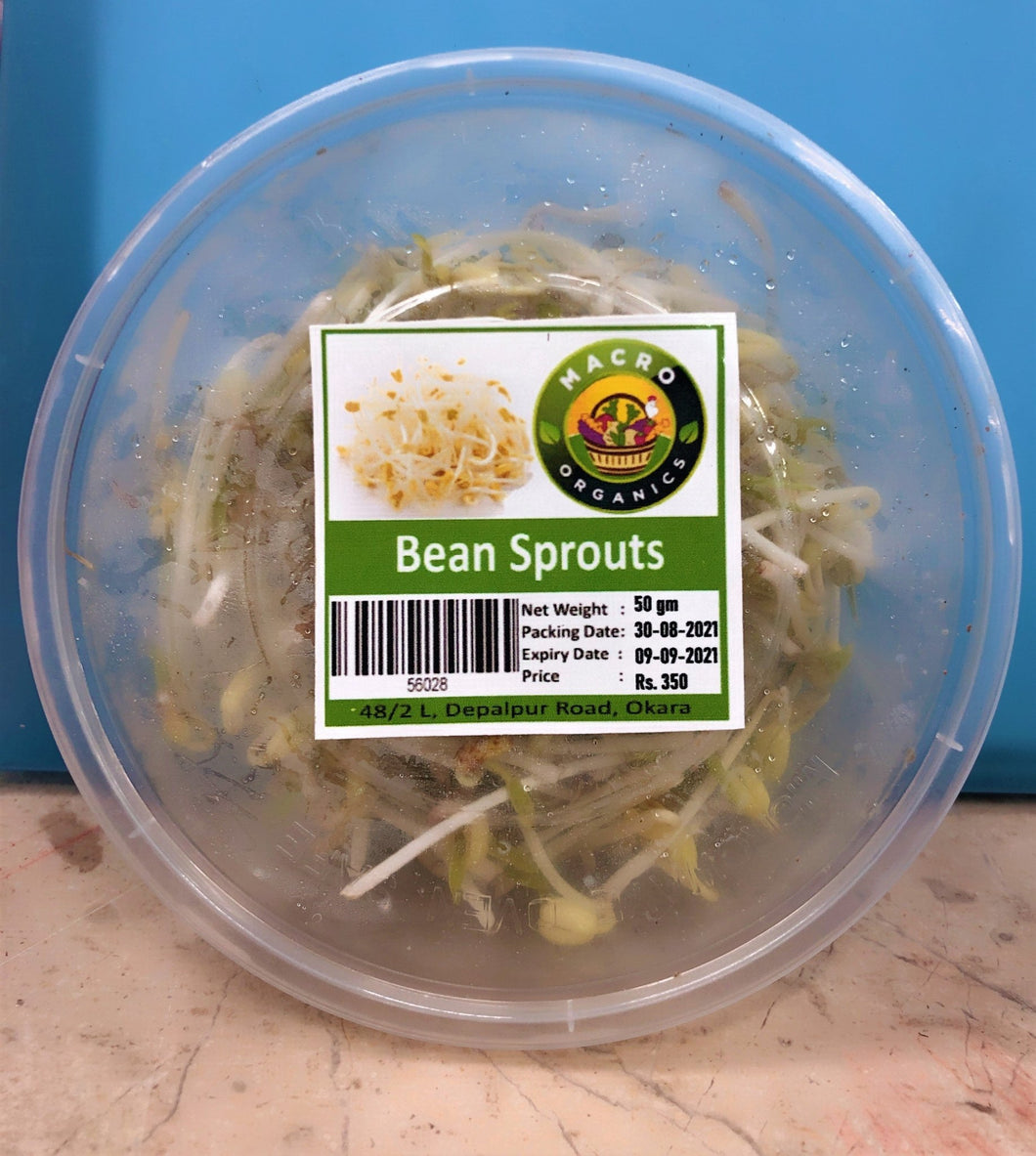 Bean Sprouts 50g Macro - TAYYIB - macro organics - Lahore