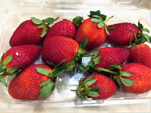 Load image into Gallery viewer, Fresh Strawberries Imported 250g - TAYYIB - Tayyib Store - Lahore