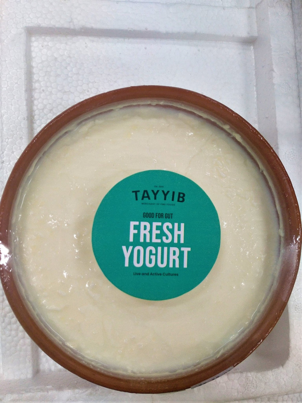 Fresh Yogurt 450g - TAYYIB - Tayyib Foods - Lahore
