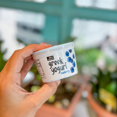 Greek Yogurt (Blueberry) 100g - TAYYIB - Dairy Culture - Lahore