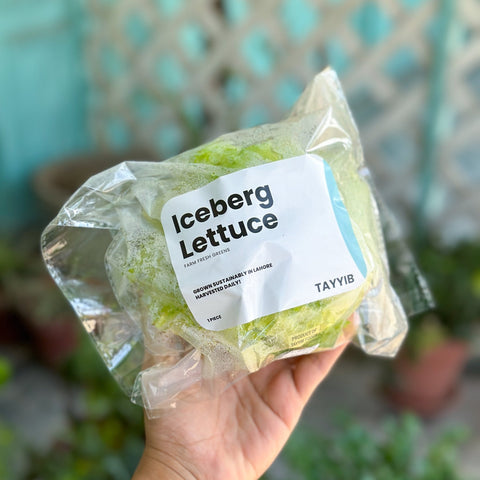 Iceberg Lettuce - Tayyib Store - Tayyib Store - Lahore
