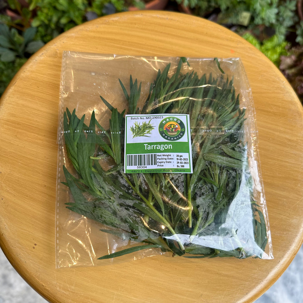 MO Tarragon 20g