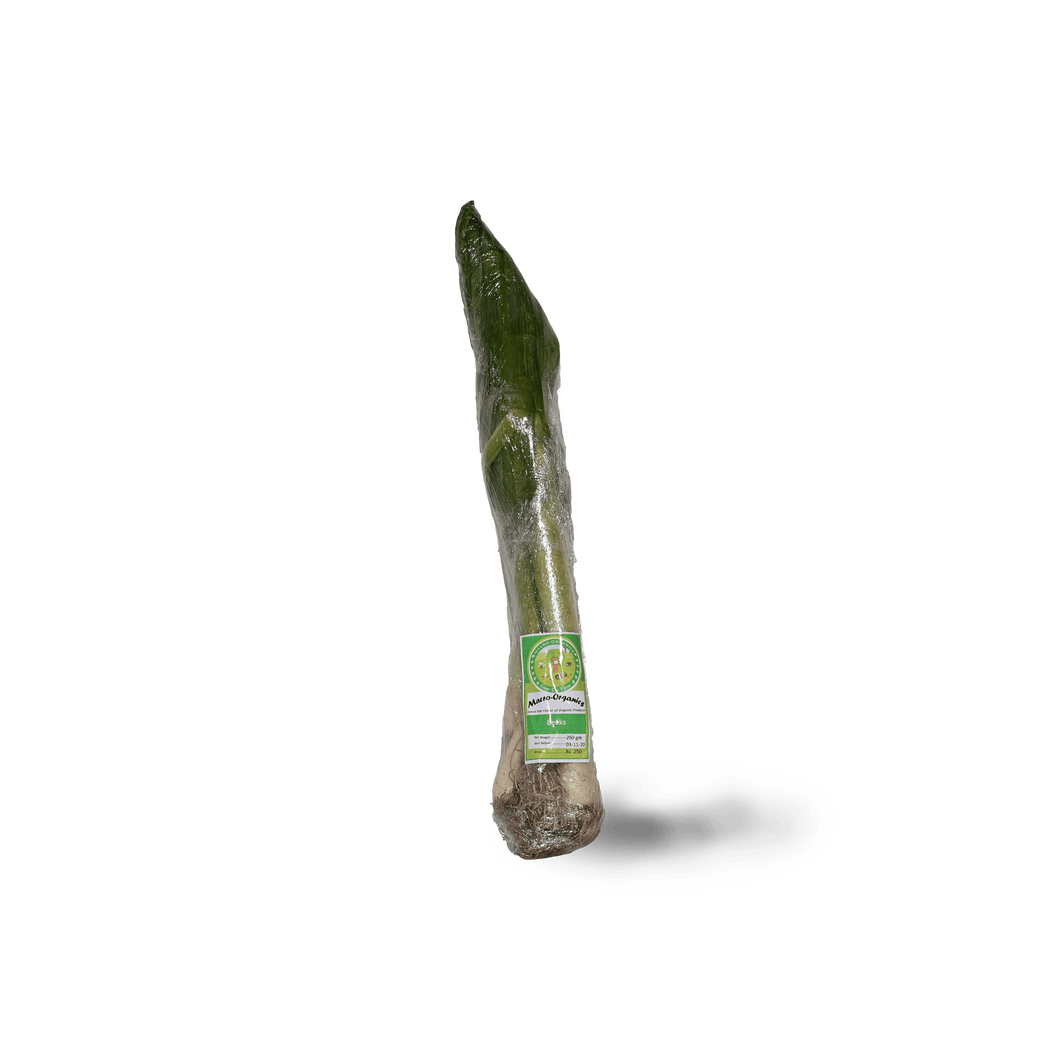 Leeks 250g - TAYYIB - Macro Organics - Lahore