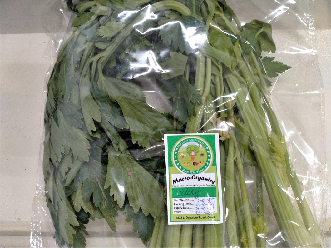 Macro organic Celery 200g - TAYYIB - Tayyib Foods - Lahore