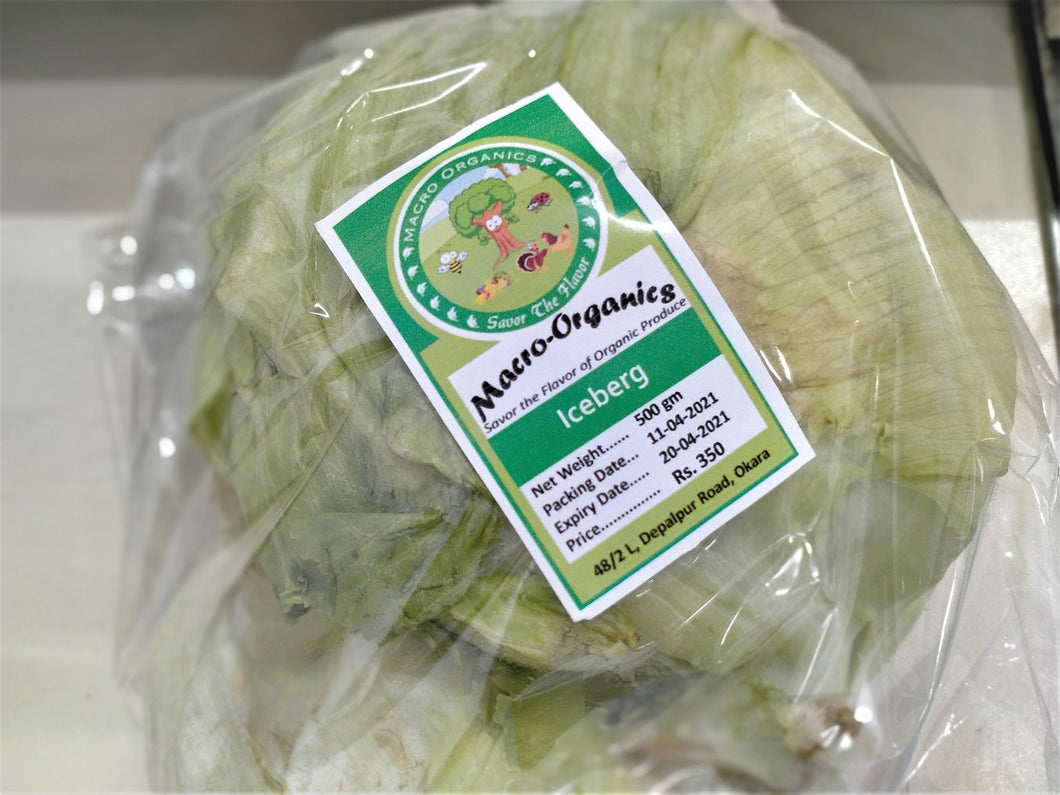 Macro Organic Iceberg 500g - TAYYIB - Macro Organic - Lahore