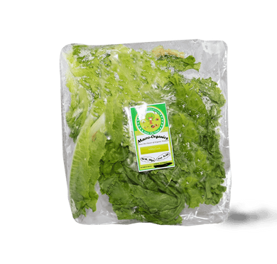 Mesclun (salad mix) 100g - TAYYIB - Macro Organics - Lahore