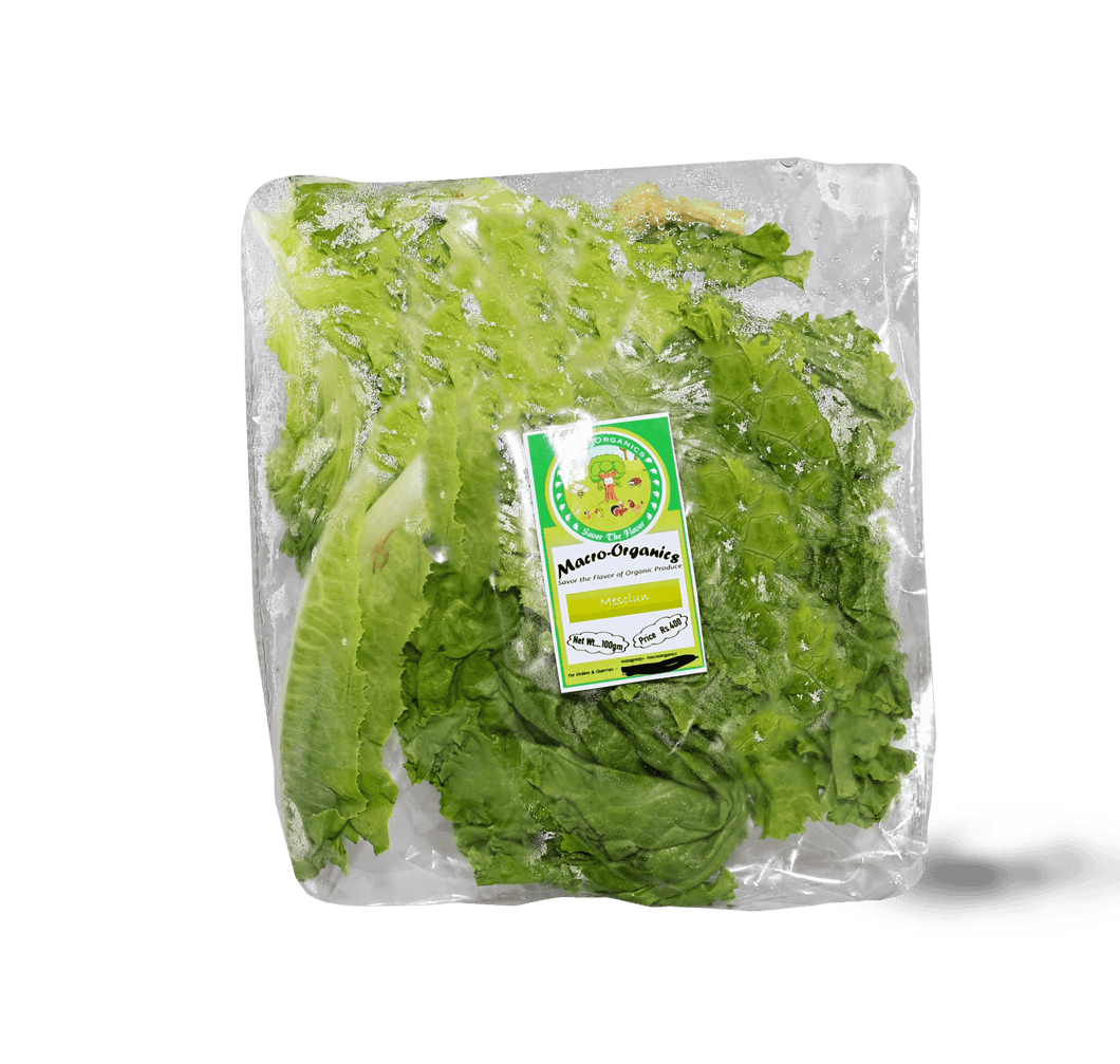 Mesclun (salad mix) 100g - TAYYIB - Macro Organics - Lahore