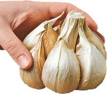 Load image into Gallery viewer, MO Elephant Garlic 200g - TAYYIB - Macro Organics - Lahore