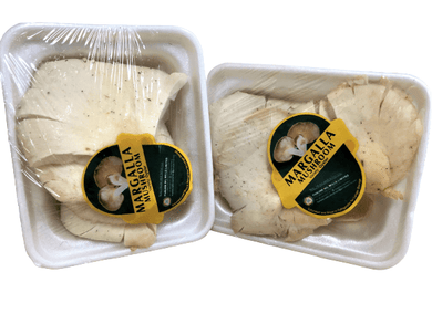 Oyster Mushrooms 180g - TAYYIB - Margalla - Lahore