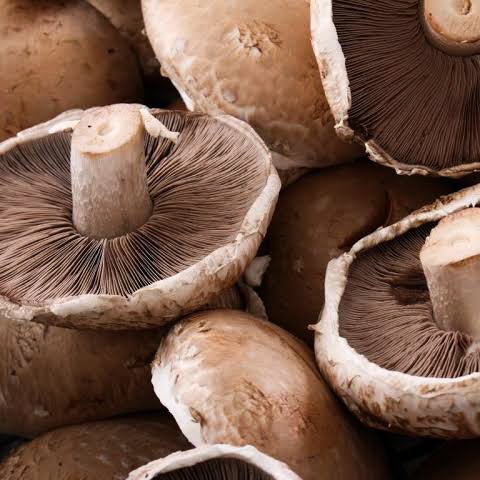 Portobello Mushrooms 150g - TAYYIB - Margalla - Lahore