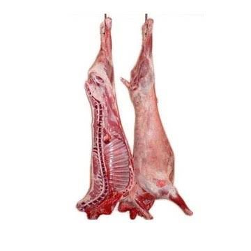 Prime Lamb (Full) - TAYYIB - Tayyib Foods - Lahore
