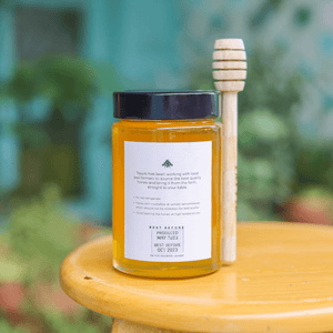 Robinia Honey 500g - TAYYIB - Tayyib Foods - Lahore