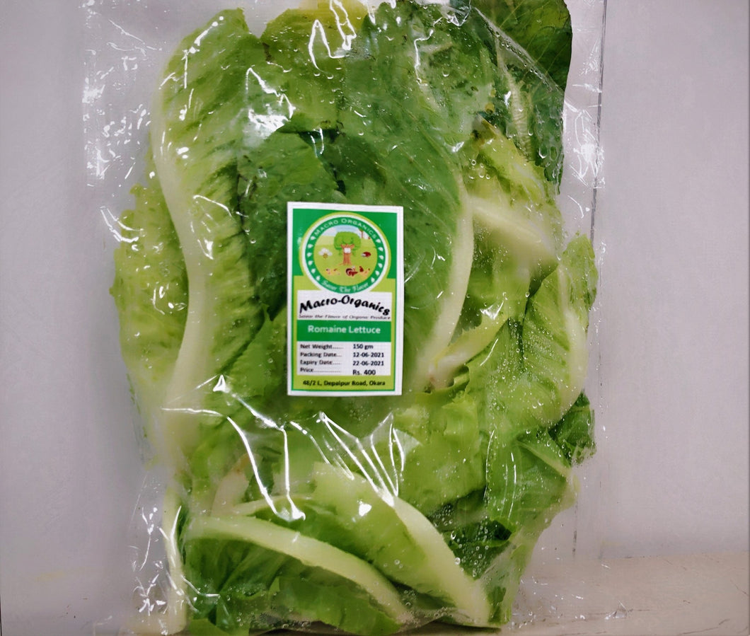 Romaine Lettuce 150g Macro Organic - TAYYIB - macro organic - Lahore