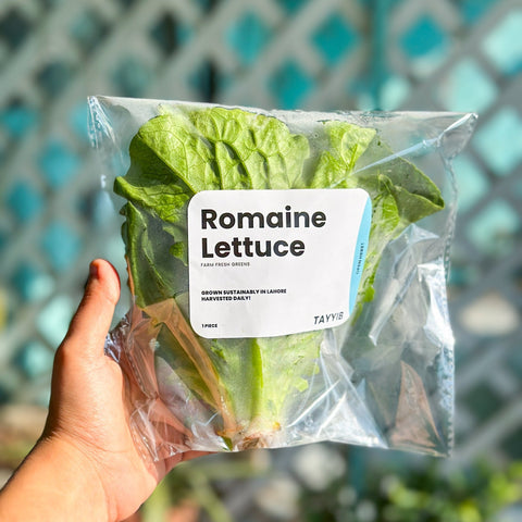 Romaine Lettuce - Tayyib Store - Tayyib Foods - Lahore