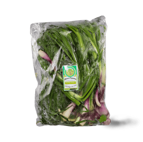 Spring Onion 250g - TAYYIB - Macro Organics - Lahore