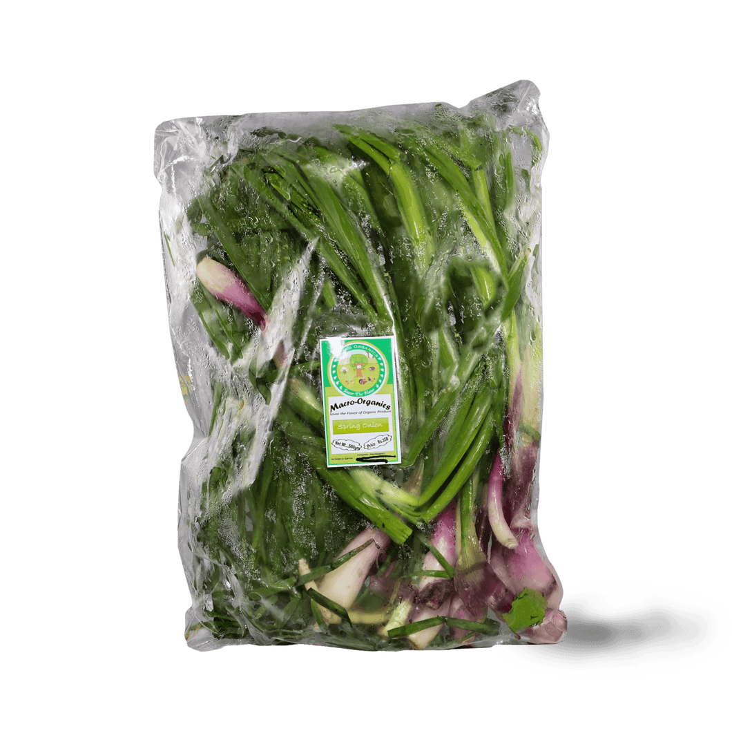 Spring Onion 250g - TAYYIB - Macro Organics - Lahore