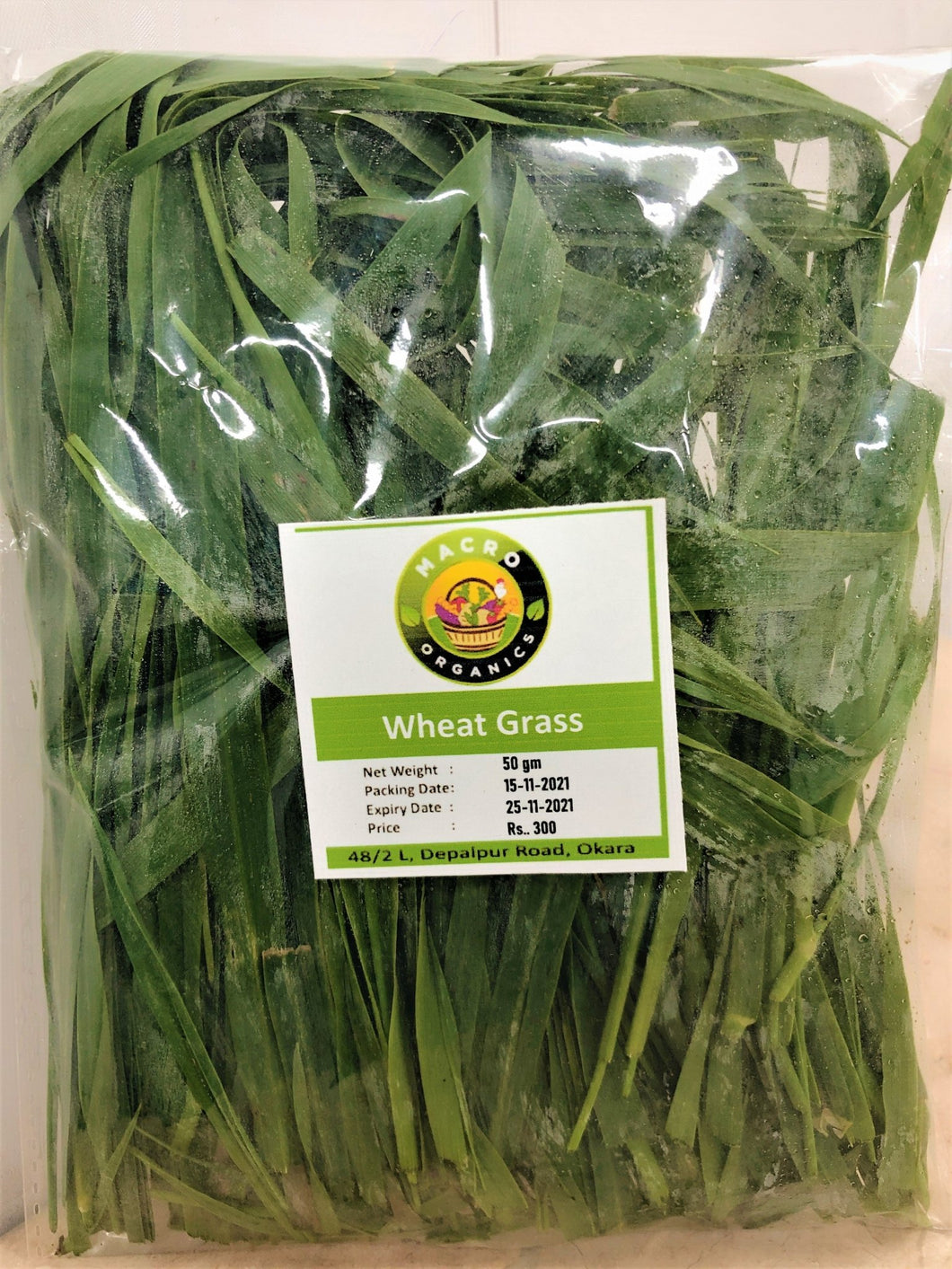 Wheat Grass 50gm - TAYYIB - Macro Organics - Lahore