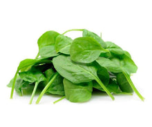 Load image into Gallery viewer, Zeez Garden Baby Spinach 50g - TAYYIB - Zeez Garden - Lahore