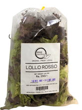 Load image into Gallery viewer, Zeez Garden Lollo Rosso 100g - TAYYIB - Zeez Garden - Lahore