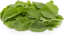 Load image into Gallery viewer, Zeez Garden Rocket 50g - TAYYIB - Zeez Garden - Lahore