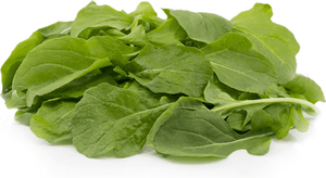 Zeez Garden Rocket 50g - TAYYIB - Zeez Garden - Lahore